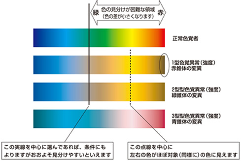 図：色覚のタイプによる色の見え方のシミュレーション